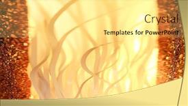  Presentation with orange plant - 