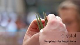  Presentation with ritual - 