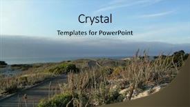  Presentation with pacific - Amazing theme having mouldy cheese covered in bacteria backdrop and a yellow colored foreground