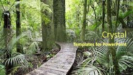  Presentation with tropical forest - Audience pleasing PPT layouts consisting of boardwalk in lush green tropical forest backdrop and a tawny brown colored foreground
