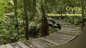  Presentation with tropical forest - Presentation theme enhanced with boardwalk in lush tropical forest background and a tawny brown colored foreground