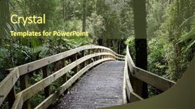  Presentation with tropical forest - PPT layouts with 3d typewriter with conceptual text on buttons background and a tawny brown colored foreground