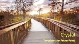  Presentation with swamp - Cool new theme with boardwalks in the swamp backdrop and a tawny brown colored foreground