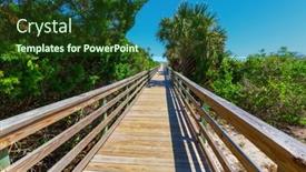  Presentation with swamp - PPT theme having boardwalks-in-the-swamp background and a tawny brown colored foreground