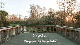  Presentation with swamp - Cool new slide set with boardwalks-in-the-swamp backdrop and a gray colored foreground