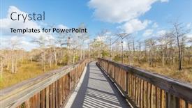  Presentation with swamp - Presentation theme enhanced with boardwalks-in-the-swamp background and a light blue colored foreground