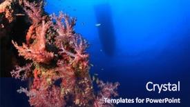 Presentation with sea coral - PPT layouts consisting of boat above coral reef in sea background and a navy blue colored foreground