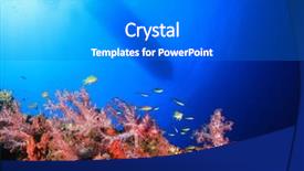  Presentation with sea coral - Beautiful slides featuring boat above coral reef in sea backdrop and a gray colored foreground