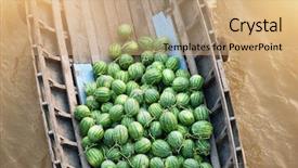  Presentation with mekong delta - Beautiful presentation theme featuring boat on traditional floating market backdrop and a coral colored foreground