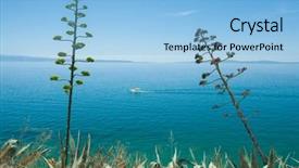  Presentation with croatia split - Presentation design enhanced with boat passing between two agave plants on dalmatian coast in split croatia background and a light blue colored foreground