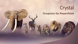  Presentation with animals - Beautiful slide deck featuring bobcat - group of wild animals wildlife backdrop and a lemonade colored foreground