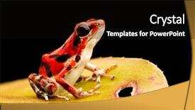  Presentation with poison - Slides enhanced with bocas del toro panama background and a black colored foreground