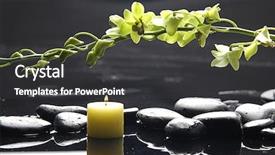  Presentation with orchid - PPT theme having body mind - oriental spa with branch green background and a dark gray colored foreground