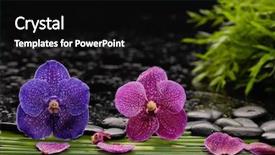  Presentation with mind body - Audience pleasing presentation consisting of body mind - still life with orchid backdrop and a black colored foreground