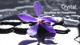  Presentation with mind body - Beautiful presentation theme featuring body mind spirit - still life with pink orchid backdrop and a  colored foreground