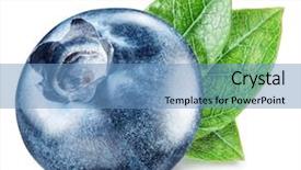  Presentation with blueberry - Colorful theme enhanced with  backdrop and a  colored foreground