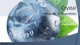  Presentation with blueberry - Theme featuring blueberry leaves and dewdrop background and a light blue colored foreground