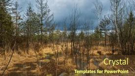  Presentation with dark forest landscape - Presentation design consisting of bog-landscape-with-small-lake background and a  colored foreground