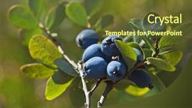  Presentation with green nature - Cool new slide deck with two pretty girls posing for the camera with gifts for christmas close view backdrop and a tawny brown colored foreground