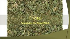  Presentation with herb - Slides consisting of bogbean-herb-leaf-used background and a tawny brown colored foreground