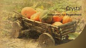  Presentation with old muscle car - Audience pleasing slides consisting of exotic saltwater jellyfish swimming in a big aquarium tropical ocean animals in the fish tank with blue water bright medusa in decorated fishbowl slow motion video flickering neon lights in water backdrop and a  colored foreground.