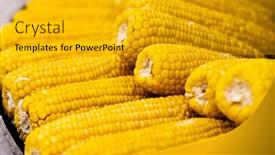  Presentation with food market - PPT layouts having boiled-corn-at-street-food background and a gold colored foreground