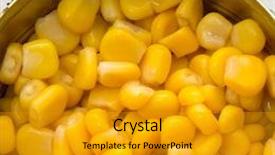  Presentation with corn - Presentation theme having canned vegetables - boiled corn in a metal background and a gold colored foreground