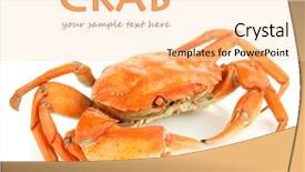  Presentation with crab - Presentation design with boiled crab isolated on white background and a lemonade colored foreground
