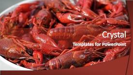  Presentation with crawfish boil - Audience pleasing theme consisting of boiled crawfish backdrop and a tawny brown colored foreground