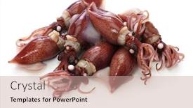  Presentation with firefly - Presentation theme featuring boiled-firefly-squid-japanes-seafood background and a coral colored foreground