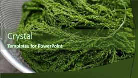  Presentation with sargassum - Presentation theme having boiled-hondawara-sargassum-fulvellum-delicious background and a tawny brown colored foreground