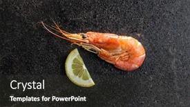  Presentation with shrimps - Amazing slides having boiled-tiger-prawns-on-black backdrop and a tawny brown colored foreground