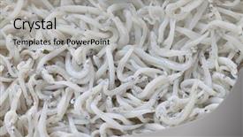  Presentation with japanese food - Theme with big toad under a water lily in summer background and a tawny brown colored foreground