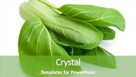  Presentation with chinese chinese - Presentation consisting of bok choy chinese cabbage background and a tawny brown colored foreground