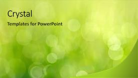  Presentation with element - Amazing slide set having bokeh background element of design backdrop and a yellow colored foreground