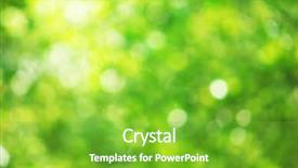  Presentation with nature destruction - PPT theme consisting of bokeh background of foliage nature background and a shamrock green colored foreground