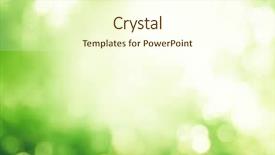  Presentation with forest morning - Slides consisting of bokeh in morning forest background and a cream colored foreground