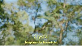  Presentation with sky blue - Beautiful slides featuring bokeh-view-of-tree-bark backdrop and a violet colored foreground