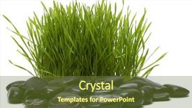  Presentation with stones - Cool new presentation theme with bolder - grass and stones isolated backdrop and a  colored foreground