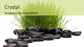  Presentation with white torn paper on gray - Amazing slides having bolder - grass and stones isolated backdrop and a  colored foreground