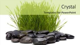  Presentation with white torn paper on gray - Theme having bolder - grass and stones isolated background and a yellow colored foreground