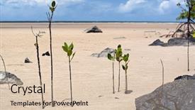  Presentation with tide - Theme having bolder - low tide background and a lemonade colored foreground
