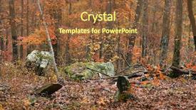  Presentation with forest - Beautiful PPT layouts featuring bolder - quiet forest during peak colors backdrop and a  colored foreground