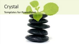  Presentation with spa stones leaves - Presentation theme enhanced with bolder - spa background leaves and zen background and a  colored foreground
