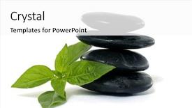  Presentation with spa stones leaves - Amazing presentation having bolder - spa background leaves and zen backdrop and a white colored foreground