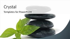  Presentation with spa stones leaves - Colorful slides enhanced with bolder - spa background leaves and zen backdrop and a  colored foreground