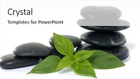  Presentation with tea leaves fresh green leaf - Theme having bolder - stack pebbles with green leaves background and a  colored foreground