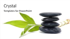  Presentation with bamboo - Presentation theme enhanced with bolder - stacked pebbles bamboo leaf background and a  colored foreground