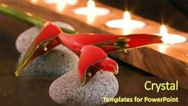  Presentation with wellness - Audience pleasing slides consisting of bolder - wellness holiday backdrop and a tawny brown colored foreground