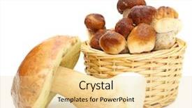  Presentation with straw - Beautiful presentation theme featuring boletus edulis mushrooms in straw backdrop and a blonde colored foreground